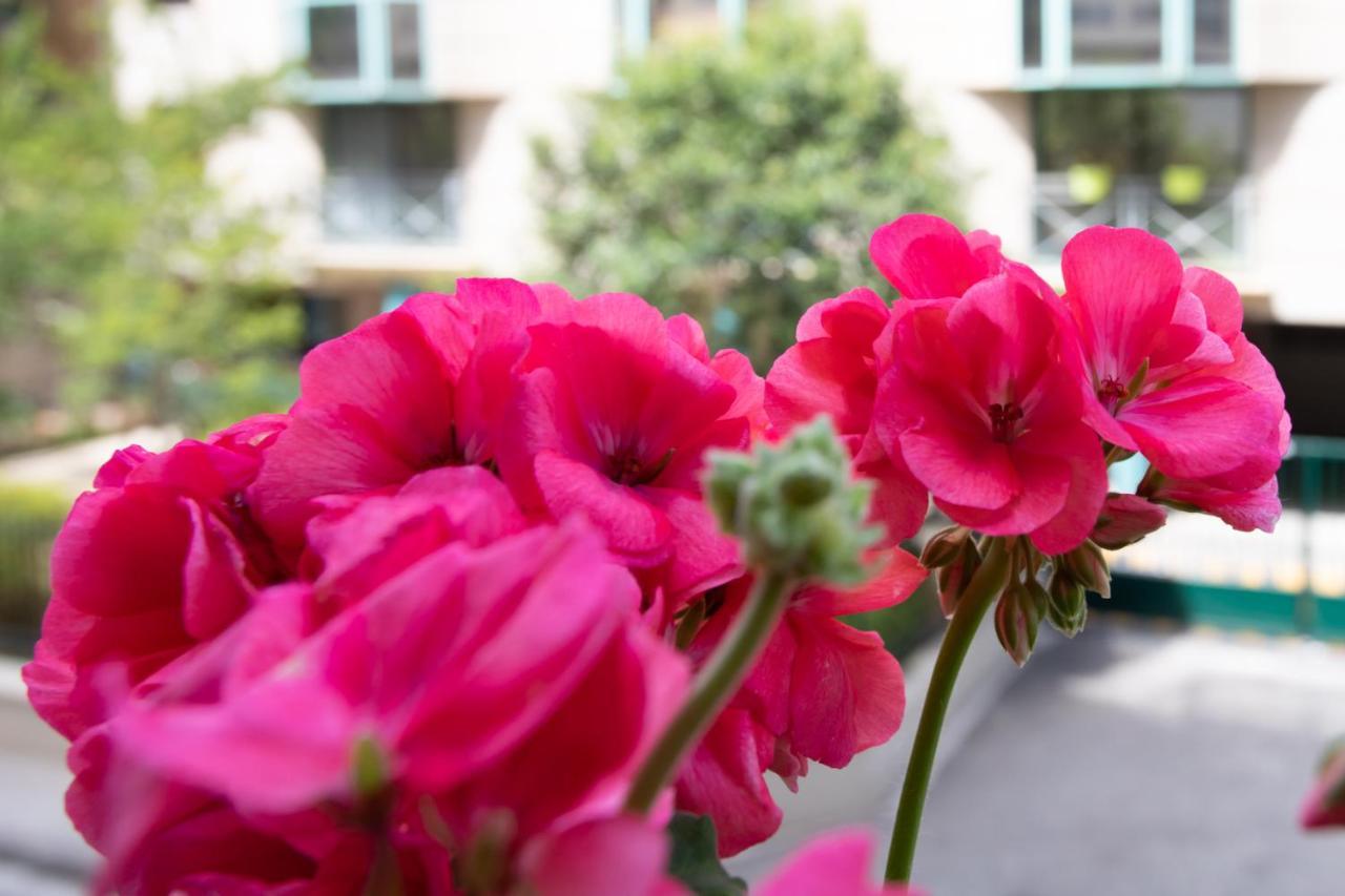 Boutique Apartment La Lavande Free Parking 10 Min Walk Nice Exterior photo